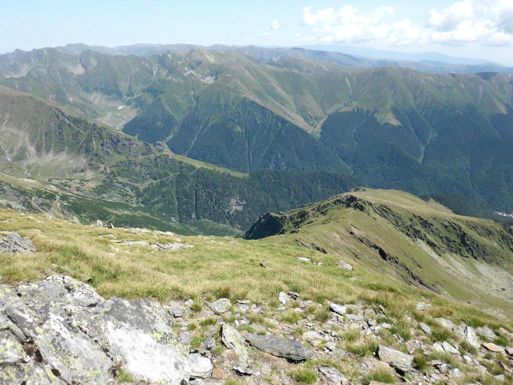 Cabana Dara Villa Cumpăna Exteriör bild