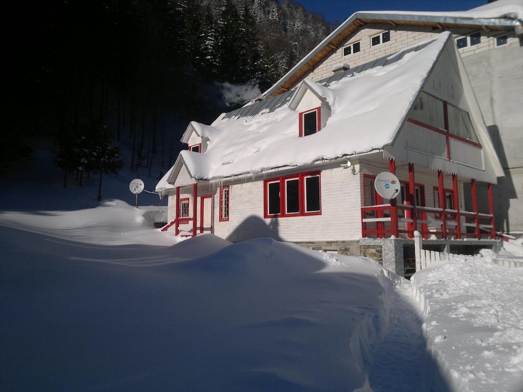 Cabana Dara Villa Cumpăna Exteriör bild