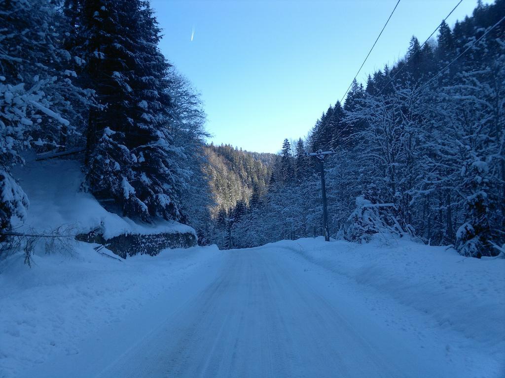 Cabana Dara Villa Cumpăna Exteriör bild