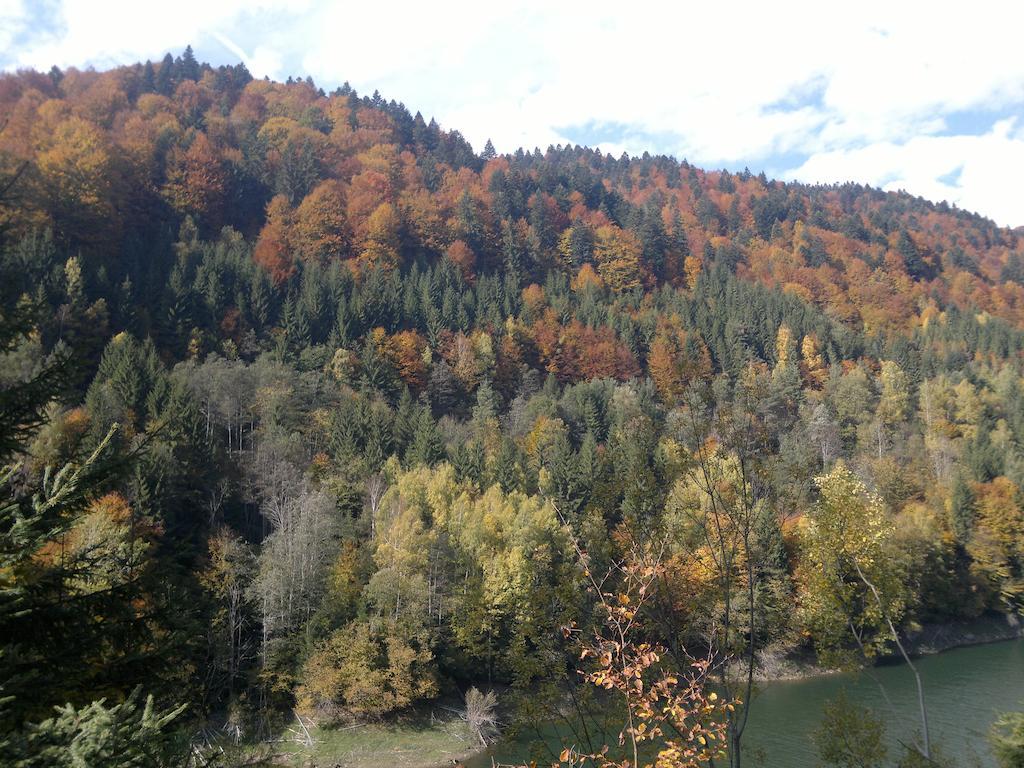 Cabana Dara Villa Cumpăna Exteriör bild