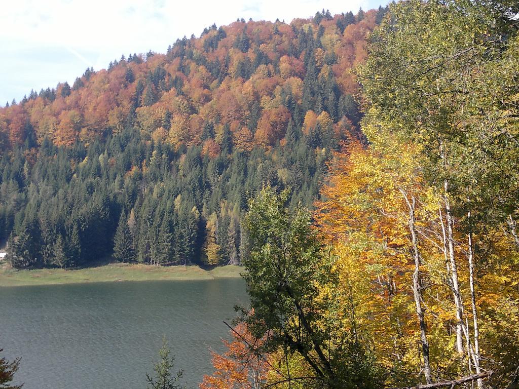 Cabana Dara Villa Cumpăna Exteriör bild